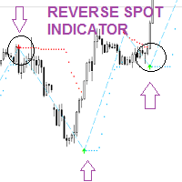 Reverse Spot