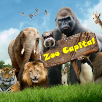 Hama and Hull EA for Mt4 by ZooCapital