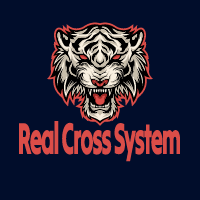 Real Cross System