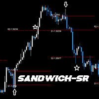 SandwichSR