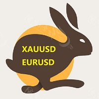 BiaoXAUUSD
