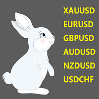 BiaoXXXUSD