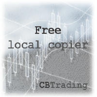 Simple Local Copier