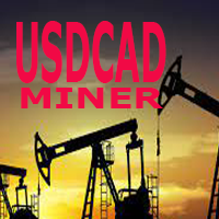 Usdcad Miner 46