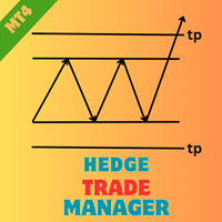 Hedge Trade Manager