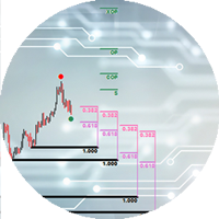 Dinapoli Levels Dashboard