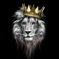 King Of Forex EA2 Arman