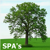 SPAs
