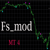 Fs mod