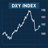 DXY Index