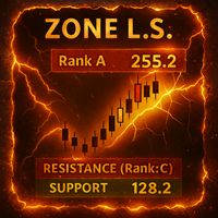 S R Zone LS