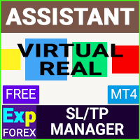 Exp Assistant 4