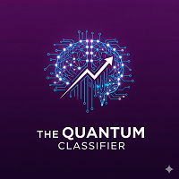 The Quantum Classifier