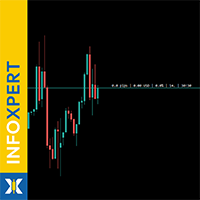 InfoXpert