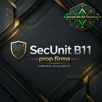 SecUnit B11