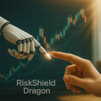 Dragons Risk Shield