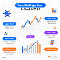 Trend Bollinger Band Pullback