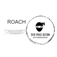 RoachMasterMind
