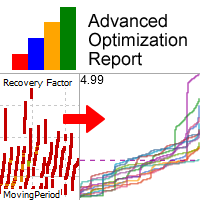 Advanced Optimization Report