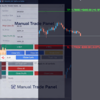 Manual Trade Panel