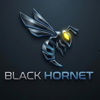 Black Hornet