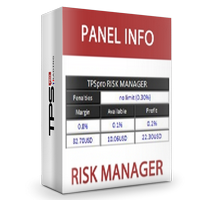 Risk Manager Panel Info