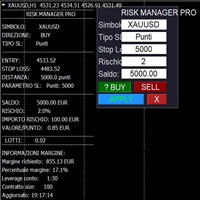 Interactive Risk Manager