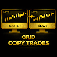 Grid Copier