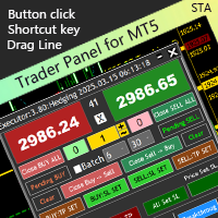 TraderPanel STA for MT5 PC