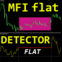 MFI Flat Detector mr
