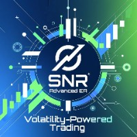Stop and reverse advanced EA