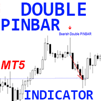 Double PinBar Pattern MT5 r