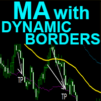 MA with Dynamic Borders mh