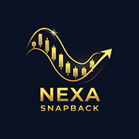 NEXA Bb Trend Snapback