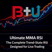 B2U Ultimate MMA RSI