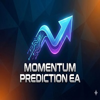 Momentum Prediction