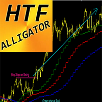 Alligator Higher Time Frame mg