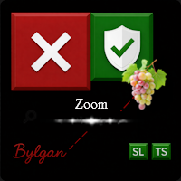 Zoom MT5 B
