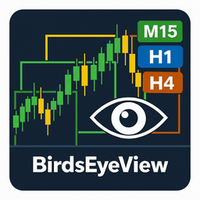 BirdsEyeView