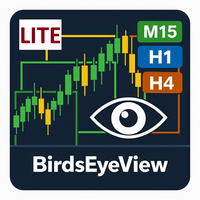 BirdsEyeView SingleTF