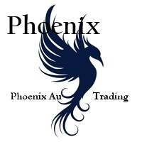 Phoenix Test