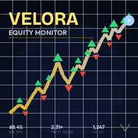 Velora Equity Monitor