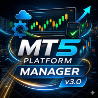 MT5 Platform Manger