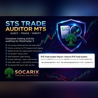 Trade Auditor Socarix