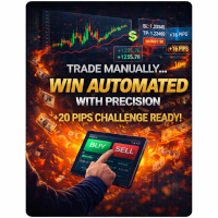 Manual Trade Panel PRO for MT5