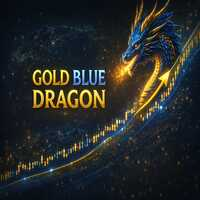 Gold Blue Dragon PRO