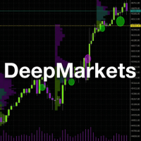 DeepMarkets