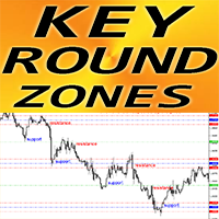Key Round Zones mg