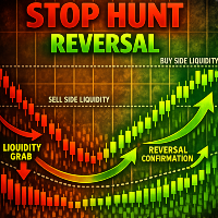 Stop Hunt Reversal