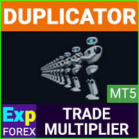 Exp5 Duplicator